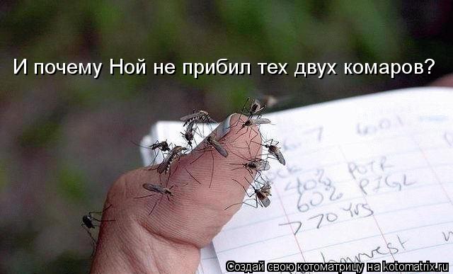 Почему ной не прибил тех двух комаров Почему ной не прибил тех двух комаров