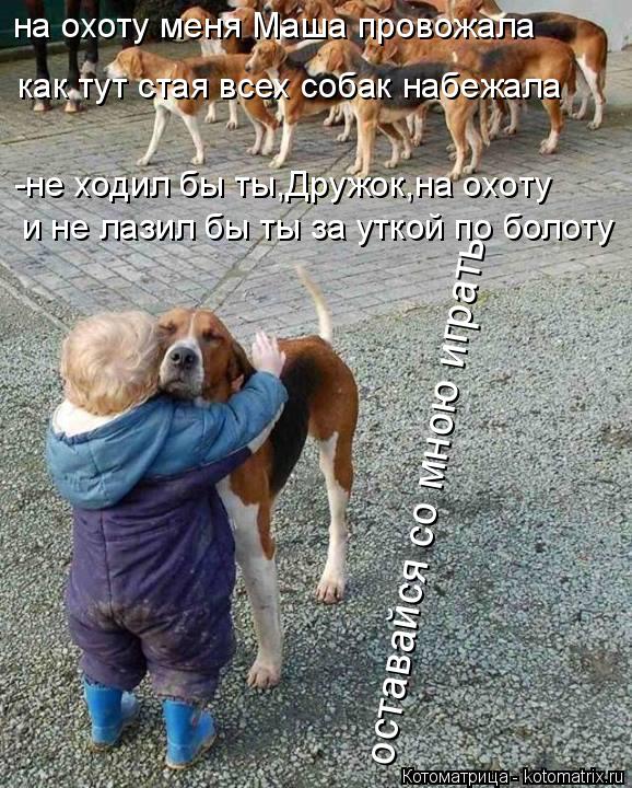 на охоту меня Маша провожала как тут стая всех собак набежала -не ходил бы ты,Дружок,на охоту и не ла... Котоматрица: на охоту меня Маша провожала как тут стая всех собак набежала -не ходил бы ты,Дружок,на охоту и не лазил бы ты за уткой по болоту оставайся со