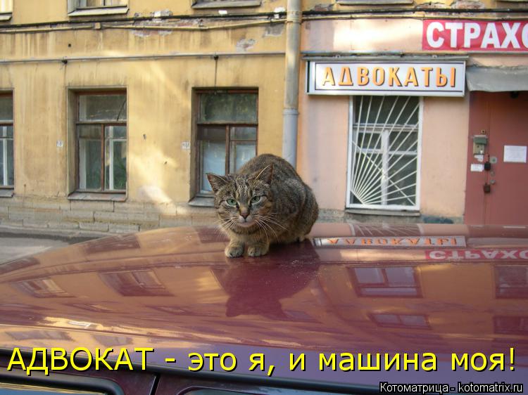 АДВОКАТ - это я, и машина моя!... Котоматрица: АДВОКАТ - это я, и машина моя!