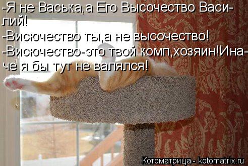 Котоматрица: -Я не Васька,а Его Высочество Васи- лий! -Висючество ты,а не высочество! -Висючество-это твой комп,хозяин!Ина- че я бы тут не валялся!