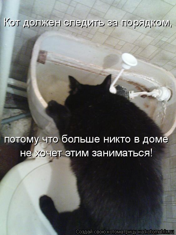 Котоматрица: Кот должен следить за порядком,  потому что больше никто в доме  не хочет этим заниматься!