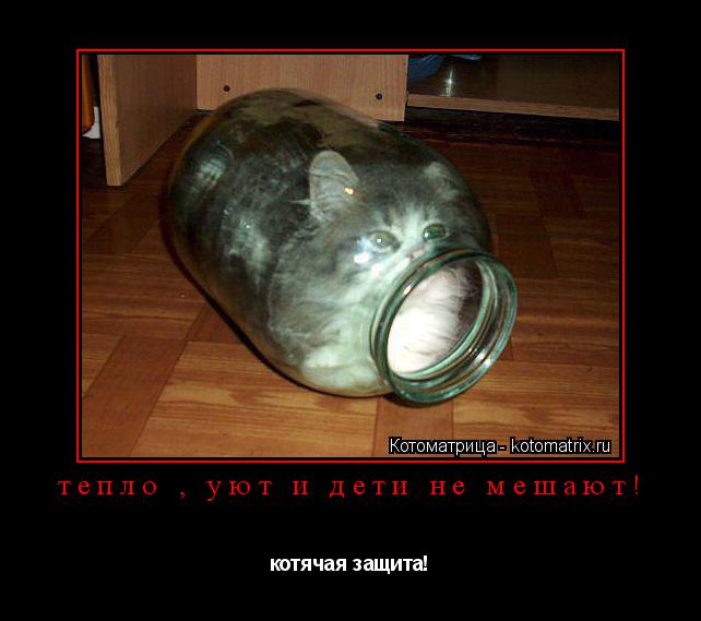 тепло , уют и дети не мешают! котячая защита!... Котоматрица: тепло , уют и дети не мешают! котячая защита!