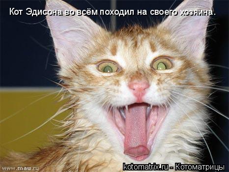Котоматрица: Кот Эдисона во всём походил на своего хозяина.