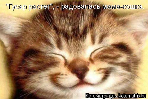 "Гусар растет", - радовалась мама-кошка.... Котоматрица: "Гусар растет", - радовалась мама-кошка.