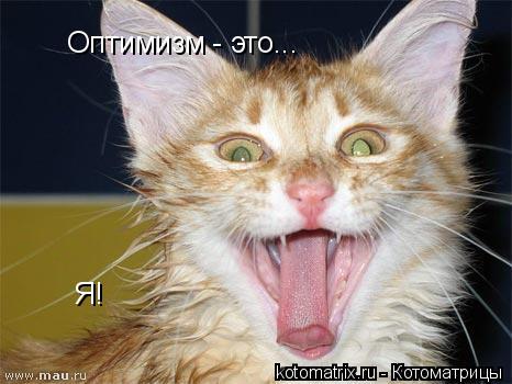 Котоматрица: Оптимизм - это... Я!