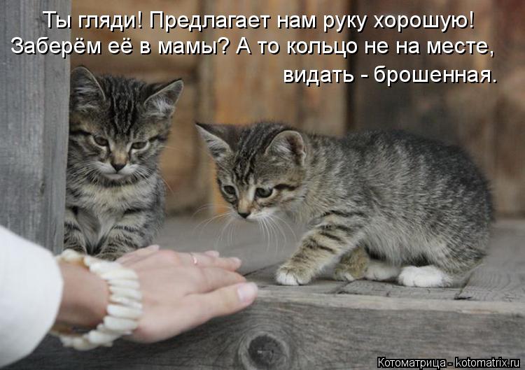Ты гляди! Предлагает нам руку хорошую! Заберём её в мамы? А то кольцо не на месте, видать - брошенна... Котоматрица: Ты гляди! Предлагает нам руку хорошую! Заберём её в мамы? А то кольцо не на месте, видать - брошенная.