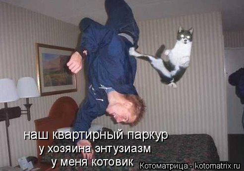 наш квартирный паркур у хозяина энтузиазм у меня котовик... Котоматрица: наш квартирный паркур у хозяина энтузиазм у меня котовик