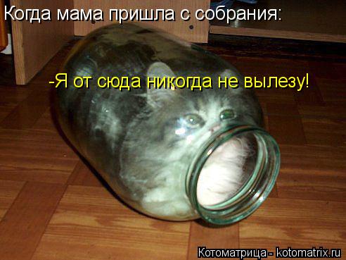 Когда мама пришла с собрания: -Я от сюда никогда не вылезу!... Котоматрица: Когда мама пришла с собрания: -Я от сюда никогда не вылезу!