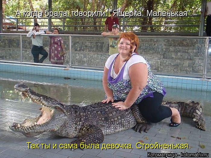 Котоматрица: А когда брала, говорили: "Ящерка. Маленькая". Так ты и сама была девочка. Стройненькая.