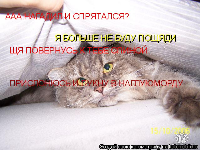 ААА НАГАДИЛ И СПРЯТАЛСЯ? Я БОЛЬШЕ НЕ БУДУ ПОЩЯДИ ЩЯ ПОВЕРНУСЬ К ТЕБЕ СПИНОЙ ПРИСЛОНЮСЬ И ПУКНУ В НАГЛ... Котоматрица: ААА НАГАДИЛ И СПРЯТАЛСЯ? Я БОЛЬШЕ НЕ БУДУ ПОЩЯДИ ЩЯ ПОВЕРНУСЬ К ТЕБЕ СПИНОЙ ПРИСЛОНЮСЬ И ПУКНУ В НАГЛУЮМОРДУ