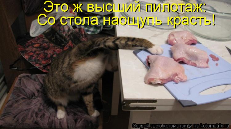 Котоматрица: Это ж высший пилотаж: Со стола наощупь красть!