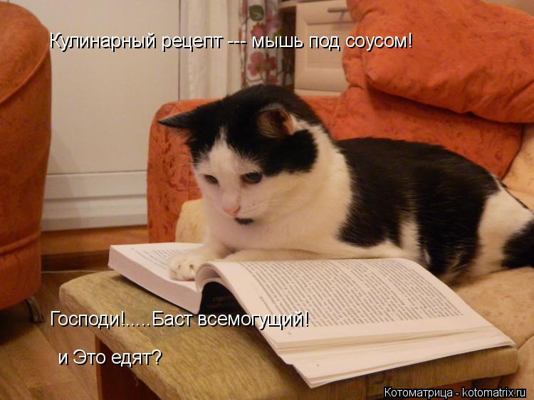 Котоматрица: Господи!.....Баст всемогущий! Кулинарный рецепт --- мышь под соусом! и Это едят?