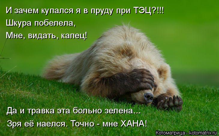 И зачем купался я в пруду при ТЭЦ?!!! Шкура побелела, Мне, видать, капец! Да и травка эта больно зеле... Котоматрица: И зачем купался я в пруду при ТЭЦ?!!! Шкура побелела, Мне, видать, капец! Да и травка эта больно зелена... Зря её наелся. Точно - мне ХАНА!