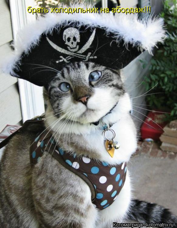 Котоматрица: брать холодильник на абордаж!!!