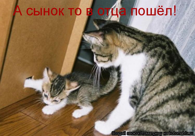 А сынок то в отца пошёл!... Котоматрица: А сынок то в отца пошёл!
