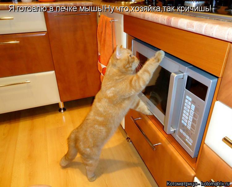 Я готовлю в печке мышь!Ну что,хозяйка,так кричишь!... Котоматрица: Я готовлю в печке мышь!Ну что,хозяйка,так кричишь!