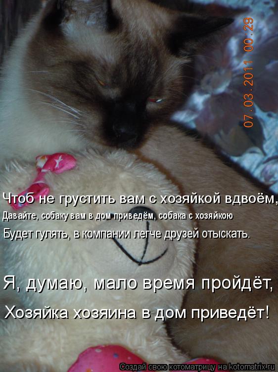 Чтоб не грустить вам с хозяйкой вдвоём, Давайте, собаку вам в дом приведём, собака с хозяйкою Будет г... Котоматрица: Чтоб не грустить вам с хозяйкой вдвоём, Давайте, собаку вам в дом приведём, собака с хозяйкою Будет гулять, в компании легче друзей отыскать.