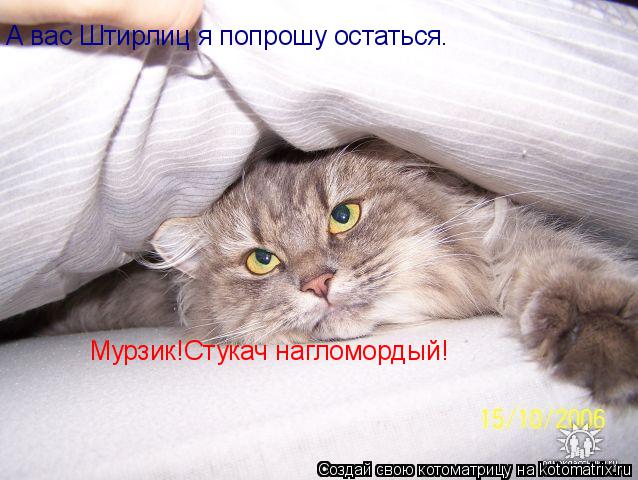 А вас Штирлиц я попрошу остаться. Мурзик!Стукач нагломордый!... Котоматрица: А вас Штирлиц я попрошу остаться. Мурзик!Стукач нагломордый!