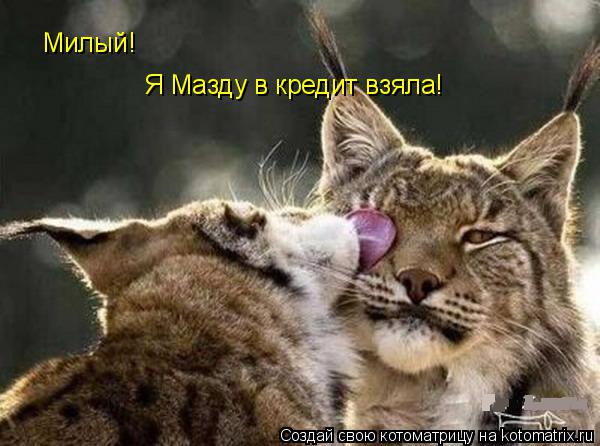 Милый! Я Мазду в кредит взяла!... Котоматрица: Милый! Я Мазду в кредит взяла!