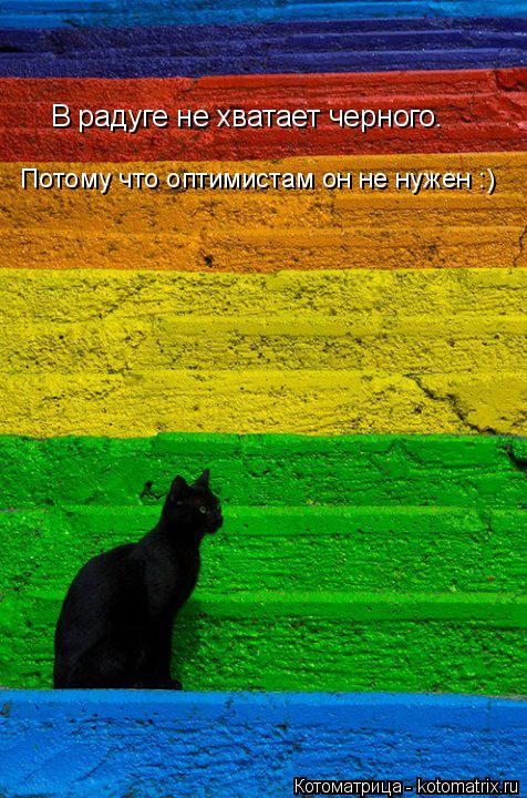 Котоматрица: В радуге не хватает черного. Потому что оптимистам он не нужен :)