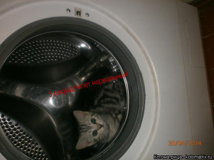 5 секунд,полет нормальный... Котоматрица: 5 секунд,полет нормальный