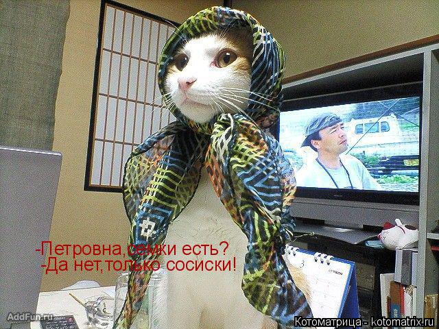 -Петровна,семки есть? -Да нет,только сосиски!... Котоматрица: -Петровна,семки есть? -Да нет,только сосиски!