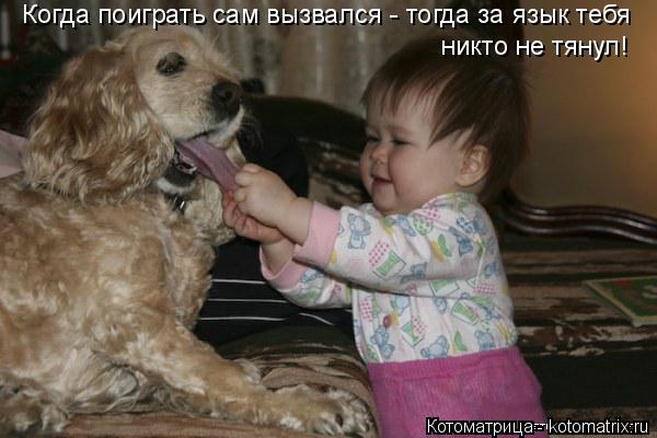 Котоматрица: Когда поиграть сам вызвался - тогда за язык тебя никто не тянул!