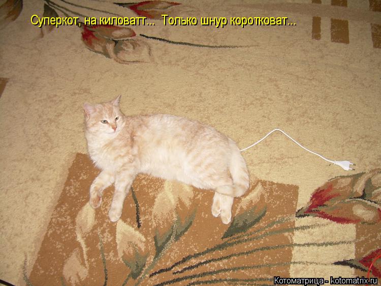Котоматрица: Суперкот, на киловатт...  Только шнур коротковат...