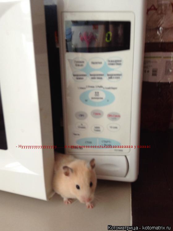 Котоматрица: - Нууууууууууууууууу.......и карусееееееееелькаааааааааааа у ваааас