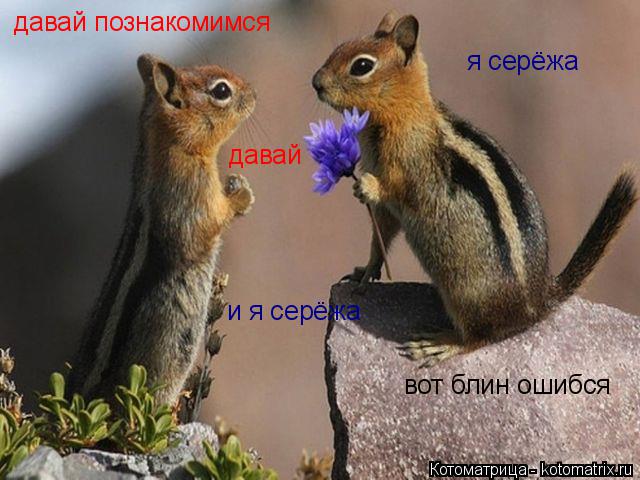 Котоматрица: давай познакомимся  давай я серёжа и я серёжа вот блин ошибся