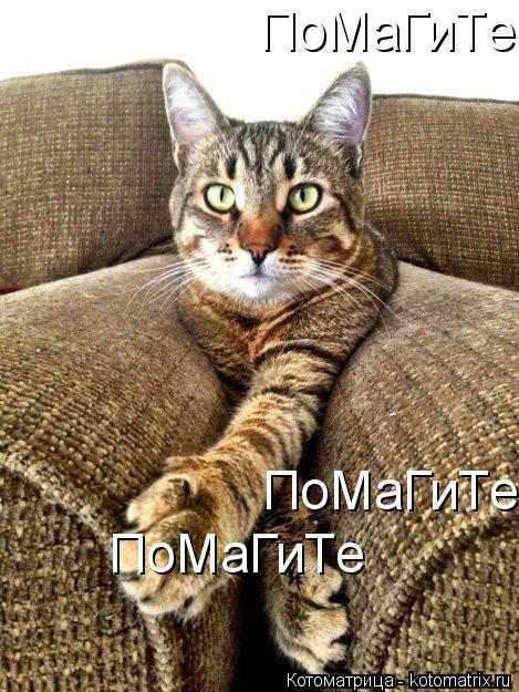 Котоматрица: ПоМаГиТе ПоМаГиТе ПоМаГиТе