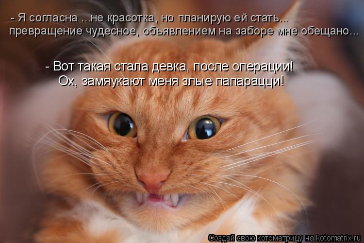 - Вот такая стала девка, после операции! Ох, замяукают меня злые папарацци! превращение чудесное, объ... Котоматрица: - Вот такая стала девка, после операции! Ох, замяукают меня злые папарацци! превращение чудесное, объявлением на заборе мне обещано... - Я согл