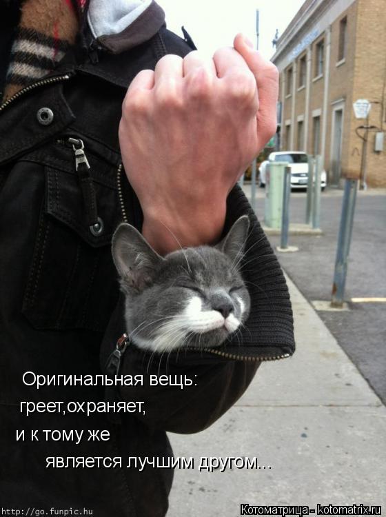 Оригинальная вещь: греет,охраняет, и к тому же является лучшим другом...... Котоматрица: Оригинальная вещь: греет,охраняет, и к тому же является лучшим другом...
