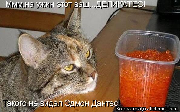 Котоматрица: Ммм,на ужин этот ваш...ДЕЛИКАТЕС! Такого не видал Эдмон Дантес!