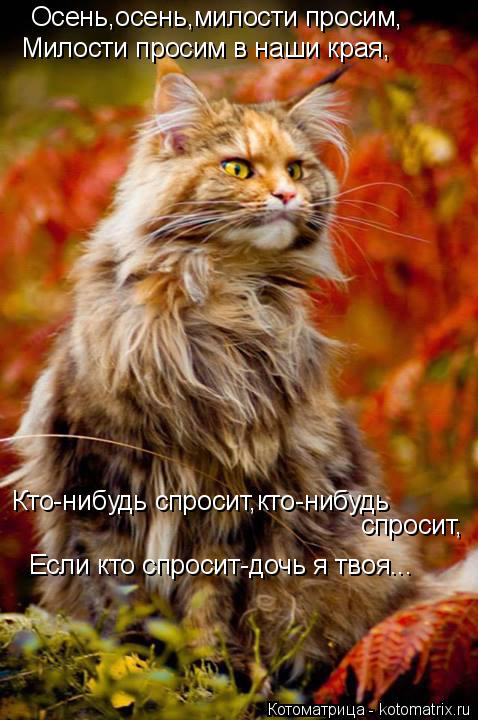Котоматрица: Осень,осень,милости просим, Милости просим в наши края, Кто-нибудь спросит,кто-нибудь спросит, Если кто спросит-дочь я твоя...