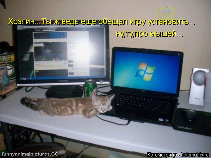 Хозяин...Ты ж ведь еще обещал игру установить... ну,ту,про мышей...... Котоматрица: Хозяин...Ты ж ведь еще обещал игру установить... ну,ту,про мышей...
