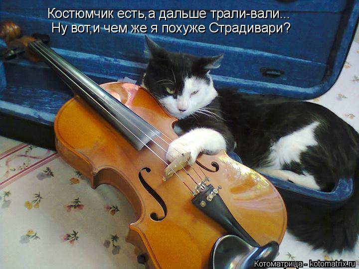 Котоматрица: Костюмчик есть,а дальше трали-вали... Ну вот,и чем же я похуже Страдивари?