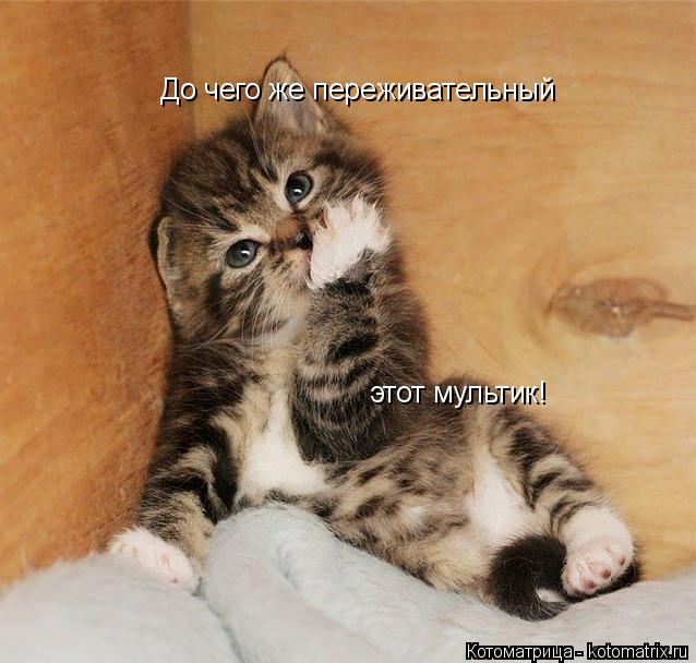 До чего же переживательный этот мультик!... Котоматрица: До чего же переживательный этот мультик!