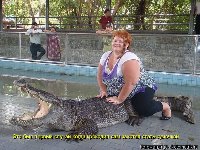Котоматрица: Это был первый случай когда крокодил сам захотел стать сумочкой