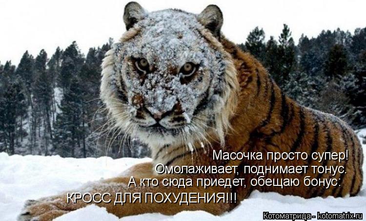 Котоматрица: Масочка просто супер! Омолаживает, поднимает тонус. А кто сюда приедет, обещаю бонус: КРОСС ДЛЯ ПОХУДЕНИЯ!!!