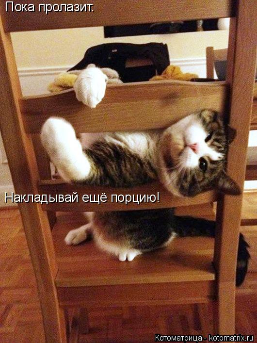 Пока пролазит. Накладывай ещё порцию!... Котоматрица: Пока пролазит. Накладывай ещё порцию!