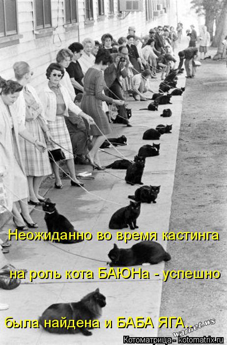 Неожиданно во время кастинга на роль кота БАЮНа - успешно была найдена и БАБА ЯГА..... Котоматрица: Неожиданно во время кастинга на роль кота БАЮНа - успешно была найдена и БАБА ЯГА..