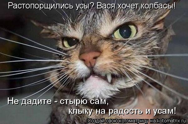 Растопорщились усы? Вася хочет колбасы! Не дадите - стырю сам, клыку на радость и усам!... Котоматрица: Растопорщились усы? Вася хочет колбасы! Не дадите - стырю сам, клыку на радость и усам!