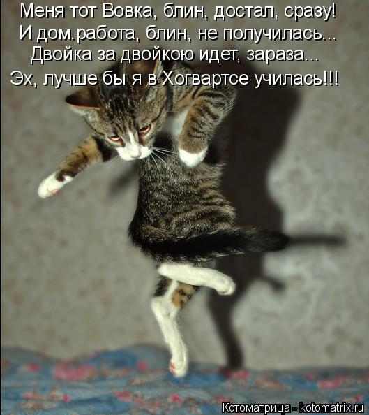Меня тот Вовка, блин, достал, сразу! И дом.работа, блин, не получилась... Двойка за двойкою идет, зар... Котоматрица: Меня тот Вовка, блин, достал, сразу! И дом.работа, блин, не получилась... Двойка за двойкою идет, зараза... Эх, лучше бы я в Хогвартсе училась!!!