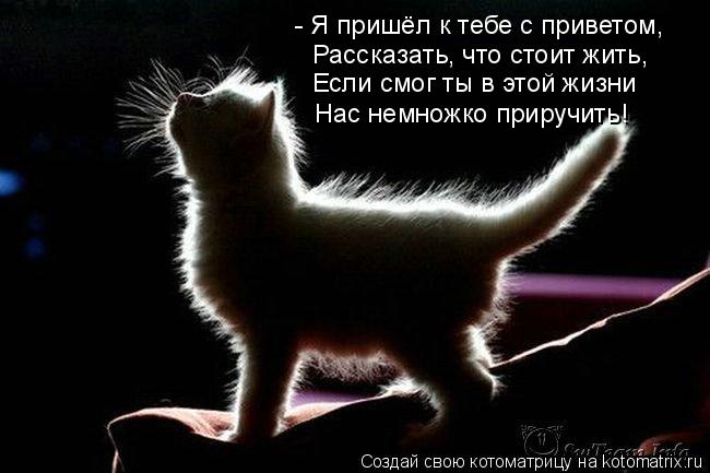 - Я пришёл к тебе с приветом, Рассказать, что стоит жить, Если смог ты в этой жизни Нас немножко прир... Котоматрица: - Я пришёл к тебе с приветом, Рассказать, что стоит жить, Если смог ты в этой жизни Нас немножко приручить!