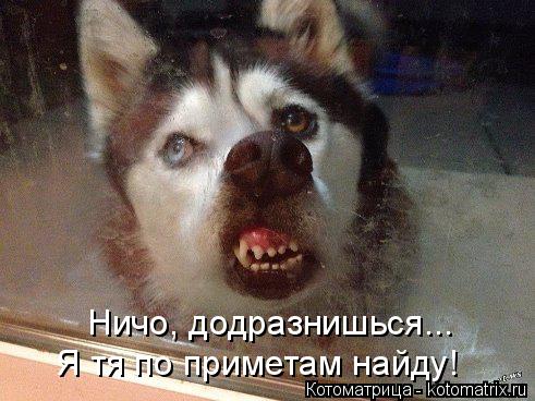 Ничо, додразнишься... Я тя по приметам найду!... Котоматрица: Ничо, додразнишься... Я тя по приметам найду!