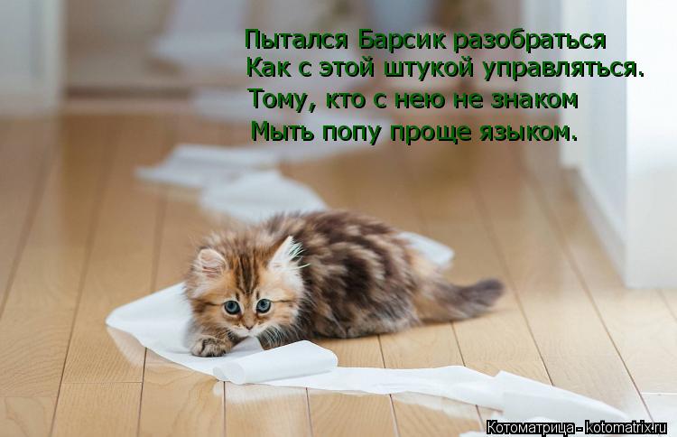 Пытался Барсик разобраться Как с этой штукой управляться. Тому, кто с нею не знаком Мыть попу проще я... Котоматрица: Пытался Барсик разобраться Как с этой штукой управляться. Тому, кто с нею не знаком Мыть попу проще языком.
