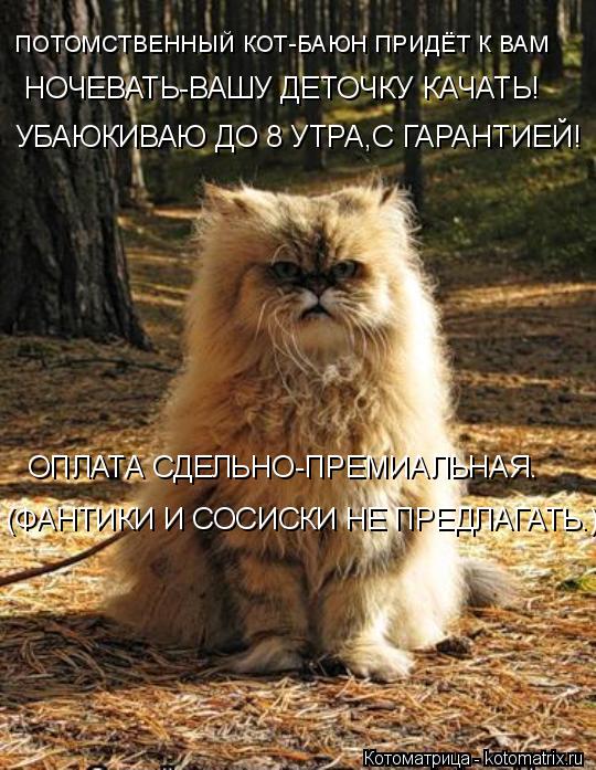 НОЧЕВАТЬ-ВАШУ ДЕТОЧКУ КАЧАТЬ! УБАЮКИВАЮ ДО 8 УТРА,С ГАРАНТИЕЙ! ОПЛАТА СДЕЛЬНО-ПРЕМИАЛЬНАЯ. (ФАНТИКИ И... Котоматрица: НОЧЕВАТЬ-ВАШУ ДЕТОЧКУ КАЧАТЬ! УБАЮКИВАЮ ДО 8 УТРА,С ГАРАНТИЕЙ! ОПЛАТА СДЕЛЬНО-ПРЕМИАЛЬНАЯ. (ФАНТИКИ И СОСИСКИ НЕ ПРЕДЛАГАТЬ.) ПОТОМСТВЕННЫЙ