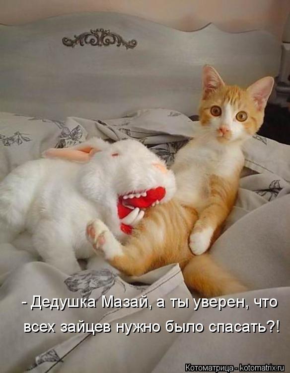 Котоматрица: - Дедушка Мазай, а ты уверен, что  всех зайцев нужно было спасать?!