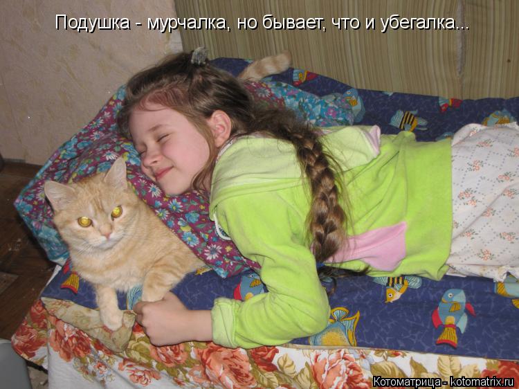 Подушка - мурчалка, но бывает, что и убегалка...... Котоматрица: Подушка - мурчалка, но бывает, что и убегалка...